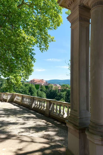 Eine Vertikale Aufnahme Eines Baumes Und Betongeländer Und Säulen Mit — Stockfoto