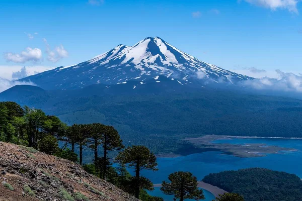 智利Conguillio国家公园雪地的Llaima Volcano美丽的照片 — 图库照片