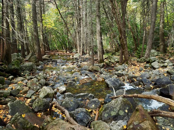 ヨセミテ国立公園の木々の近くにある小さな岩の小川 — ストック写真