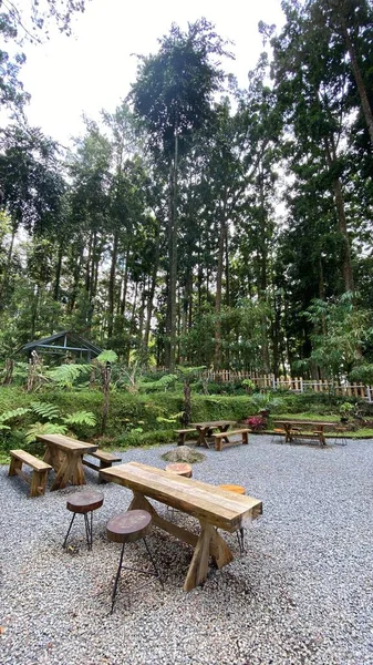 Beau Cliché Une Table Chaises Bois Milieu Une Forêt Devant — Photo