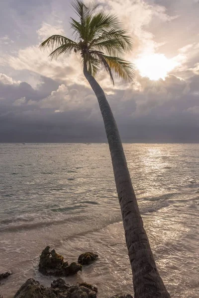 Guadeloupe Wunderschönes Panorama Eines Rosa Sandstrandes Auf Der Insel Marie — Stockfoto