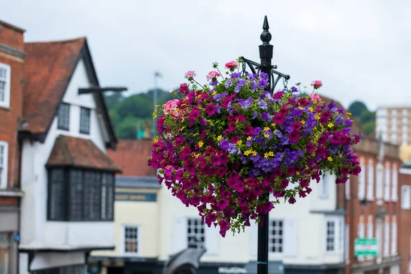 Ett Gäng Färgglada Blommor Metallstolpe Gatan Guildford Surrey Storbritannien — Stockfoto