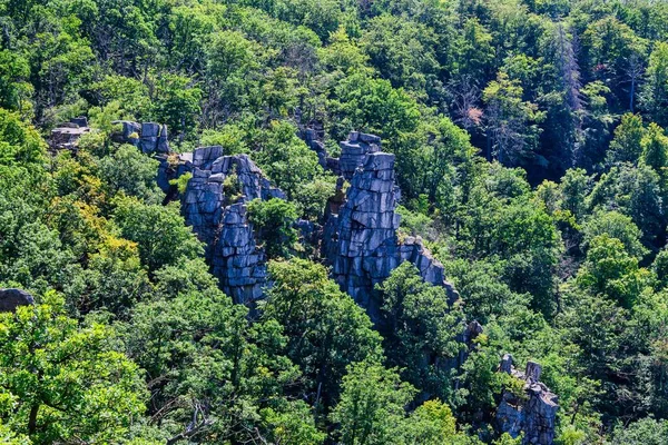Άποψη Των Βράχων Στην Κοιλάδα Bode Στα Βουνά Harz Καλοκαίρι — Φωτογραφία Αρχείου