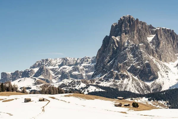 Een Schilderachtig Uitzicht Het Besneeuwde Seiser Alm Alpe Siusi Plateau — Stockfoto