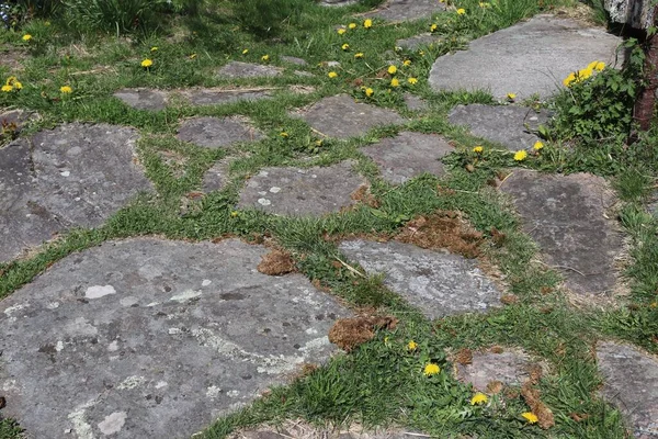 High Angle View Grass Growing Stones Pathway — Stock Photo, Image