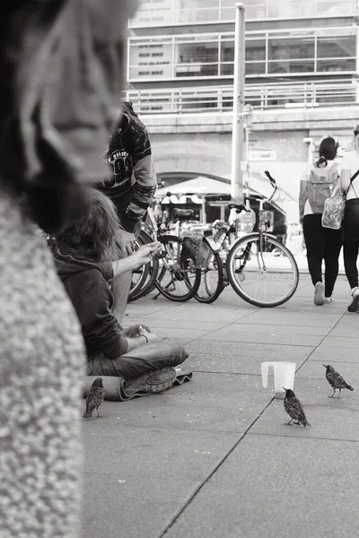 Vertikální Záběr Starce Krmícího Ptáky Alexanderplatz Berlíně Německo — Stock fotografie