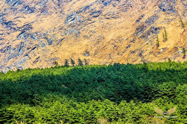 Uitzicht Bomen Rotsachtige Bergen — Stockfoto