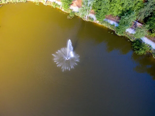 公園内の緑の池の真ん中に噴水の高角度ショット — ストック写真