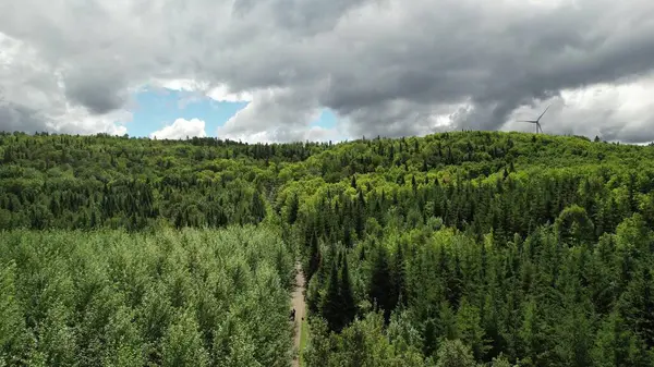遠くに風車のある森の空中ドローン — ストック写真