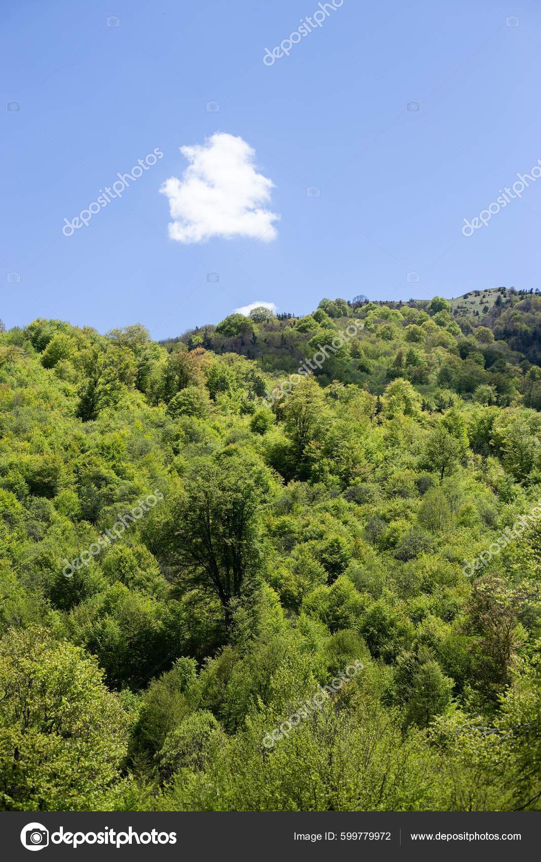 Beautiful Green Landscape Dense Forests Mountains Lori Armenia Stock