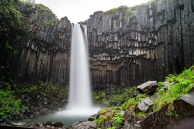 İzlanda 'da bitkilerle dolu büyük bir Svartifoss Şelalesi manzarası