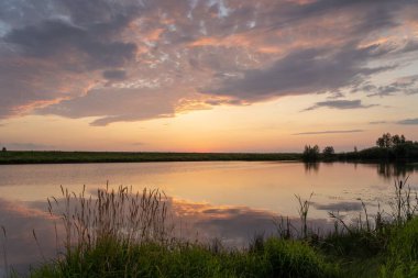 Pembe günbatımında kıyıda kamışlarla yansıtan güzel bir göl manzarası.