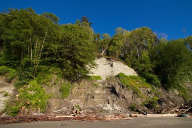 Vancouver, Kanada 'da tepesinde ağaçlar olan kayalık bir uçurum.