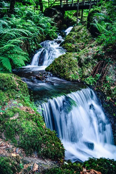 Scenic Falls Streaming Green Tropical Forest — Stock Photo, Image