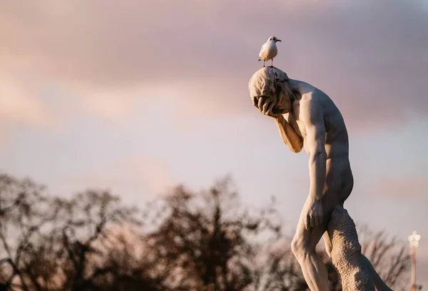 Seagull Perched Upset Man Statue — Stock Photo, Image
