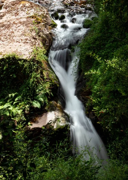 Una Cascada Través Del Bosque —  Fotos de Stock