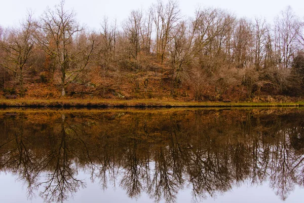 Bäume Und Wildpflanzen Die Sich Einem Herbsttag Wasser Des Sees — Stockfoto