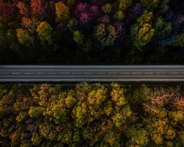 Uma Vista Aérea Superior Uma Estrada Aberta Cercada Por Árvores — Fotografia de Stock