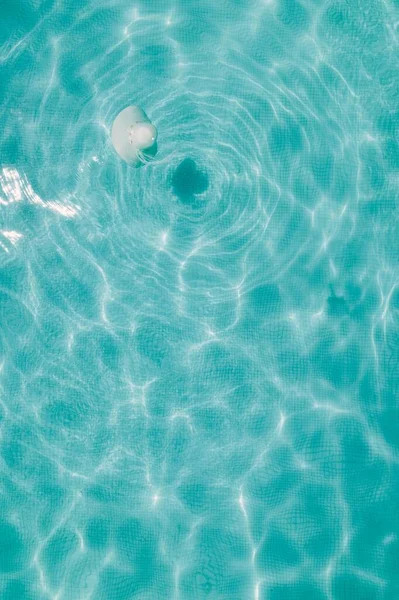Bir Havuzun Açık Mavi Şeffaf Suyunun Dikey Yakın Çekimi — Stok fotoğraf