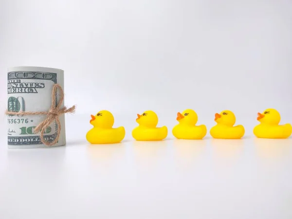 Group Toy Ducks Banknotes — Stock Photo, Image