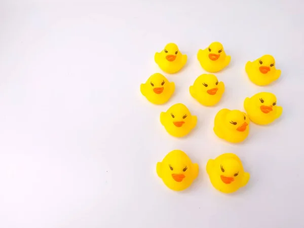 Grupo Patitos Juguete Reunidos Sobre Fondo Blanco — Foto de Stock