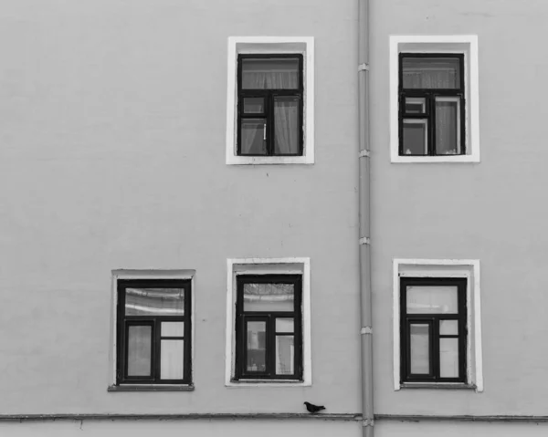 벨로루시에서 건물의 그레이 스케일 — 스톡 사진