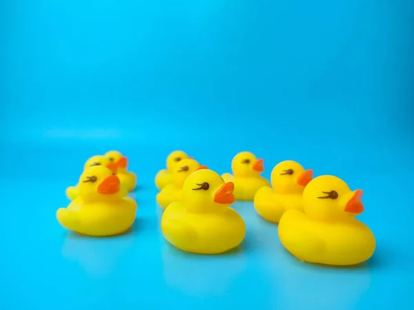 Group Toy Ducks Gathered Blue Background — Stock Photo, Image