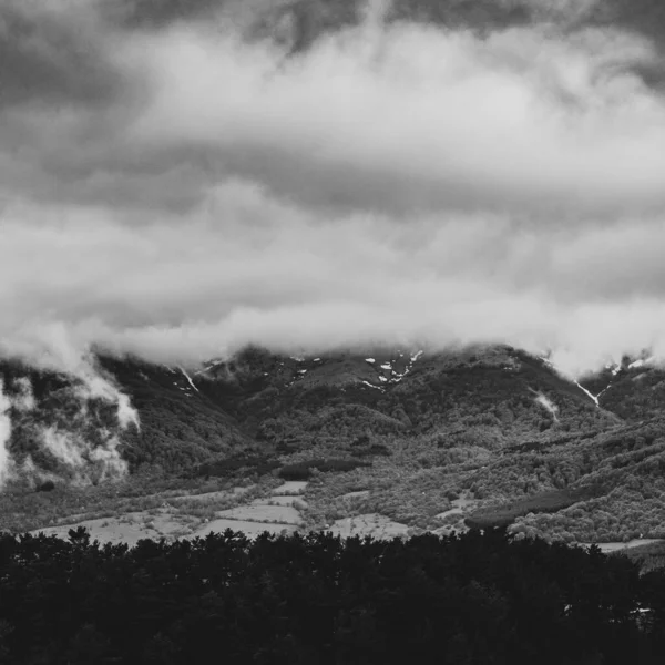 Vue Niveaux Gris Beau Paysage Montagneux Par Une Journée Brumeuse — Photo