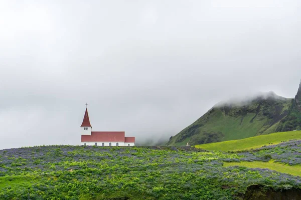 Luteryan Myrdal Kilisesi Vik Zlanda Çiçek Açan Lupin Çiçekleriyle Çevrilidir — Stok fotoğraf