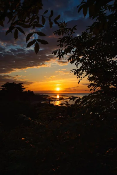 Красивый Вид Море Ветвей Деревьев Время Оранжевого Заката — стоковое фото