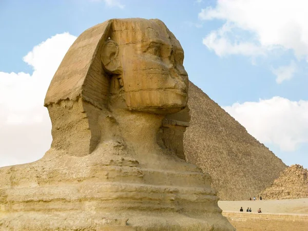 背景为吉萨大金字塔的狮身人面像在沙漠中的特写镜头 — 图库照片