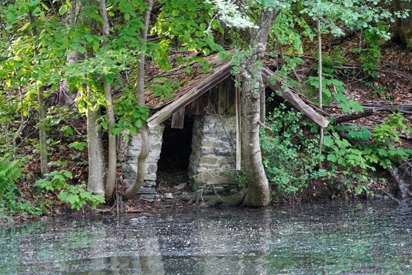 Old Abandoned House Deep Forest Bank Pond — Stock Photo, Image