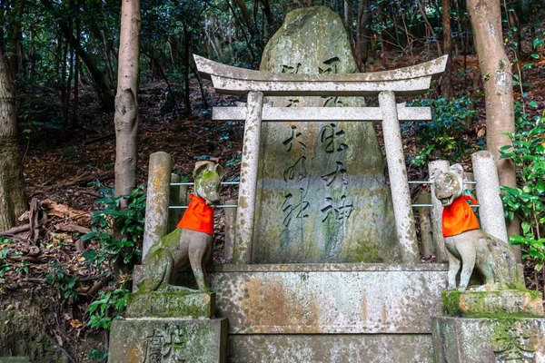 Uma Bela Foto Santuário Fushimi Inari Taisha Noite Kyoto Japão — Fotografia de Stock