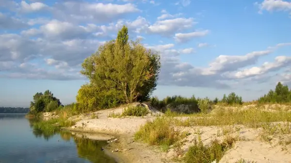 Гарний Знімок Дерев Ростуть Біля Річки Відображенням Поверхні Води Сонячний — стокове фото