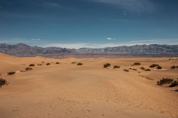 Una Hermosa Foto Desierto Con Algunas Plantas Montañas Fondo —  Fotos de Stock