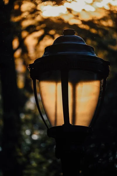 Tiro Vertical Uma Lâmpada Rua Retroiluminada Com Luz Solar — Fotografia de Stock