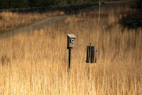 Wooden Birdhouse Grassy Meadow Whitinsville Massachusetts — Stock Photo, Image