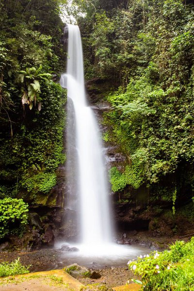 A vertical shot of a small waterfall in a forest