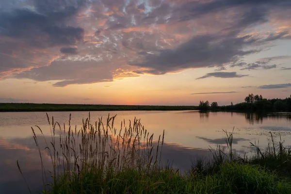 Una Hermosa Vista Lago Reflectante Con Cañas Orilla Durante Atardecer — Foto de Stock
