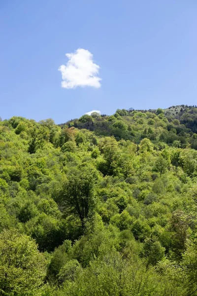 Uma Bela Paisagem Verde Florestas Densas Nas Montanhas Lori Armenia — Fotografia de Stock