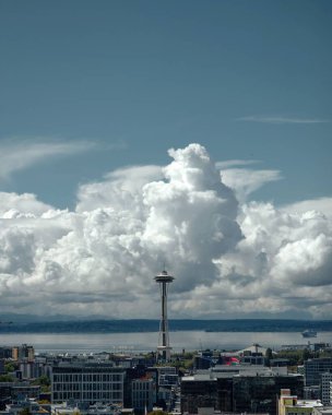 Seattle, Washington 'da güzel bir Space Needle çekimi.