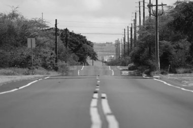 Hawaii, Oahu 'daki boş bir yolun gri tonlu görüntüsü..