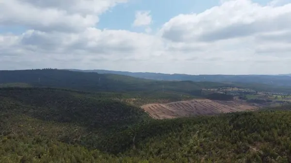 Hills Forrest Nord Portugal Nær Maia Flyplass – stockfoto