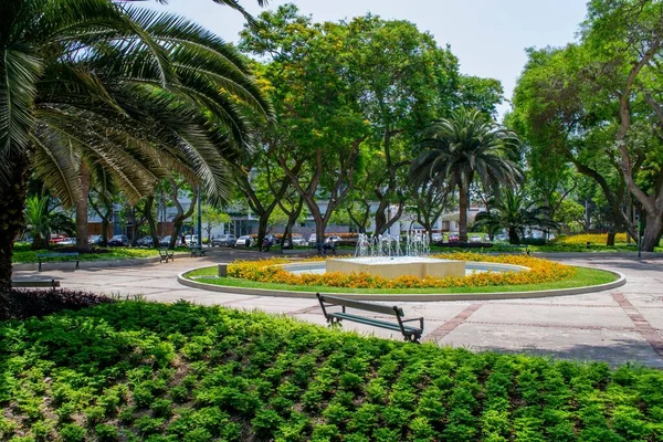 Giornata Sole Nel Parco Centro Una Piscina Acqua — Foto Stock