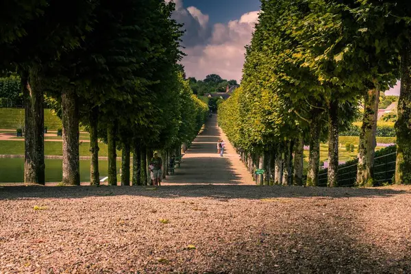 Kabarık ağaçlarla kaplı güzel bir yürüyüş yolu.
