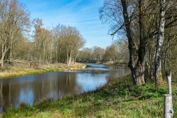 Ett Vackert Landskap Vid Flod Heijen Nederländerna Med Lövlösa Träd — Stockfoto