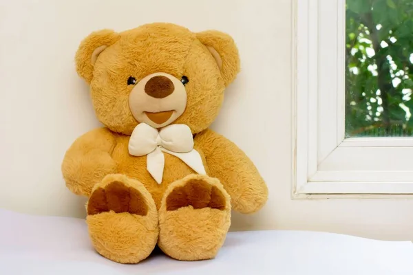 Closeup Teddy Bear Ribbon Isolated Windowpane — Stock Photo, Image