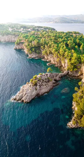 在阳光灿烂的日子里 蓝色海洋中的一个绿色岛屿的垂直空中景观 — 图库照片