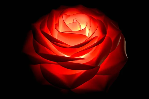 Μια Κόκκινη Λάμπα Σχήμα Τριαντάφυλλου Που Απομονώνεται Μια Σκοτεινή Επιφάνεια — Φωτογραφία Αρχείου