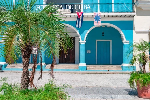 古巴哈瓦那老广场中央的小棕榈树和殖民建筑 — 图库照片